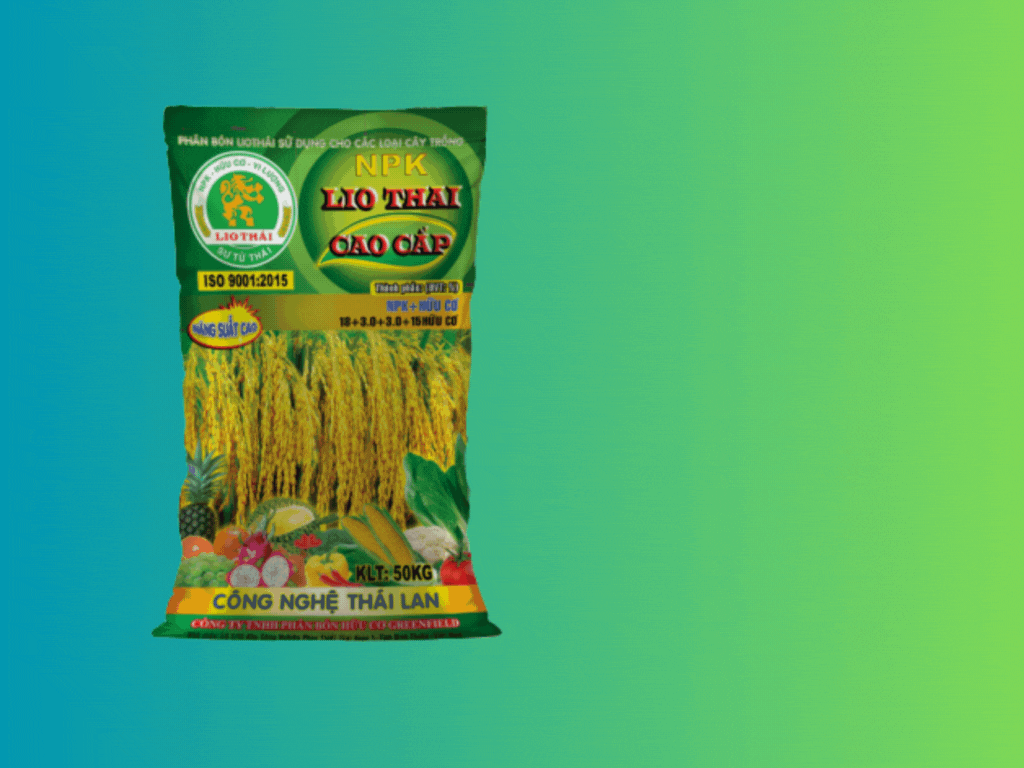 Phân Lio Thái Cao Cấp